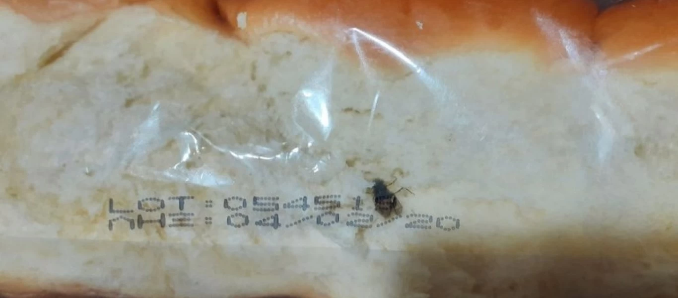 Αηδιαστικό - Βρέθηκε μύγα μέσα σε τσουρέκι σε σούπερ μάρκετ γνωστής αλυσίδας (φώτο)